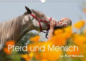 Pferd und Mensch in Harmonie (Wandkalender 2019 DIN A4 quer) von Bölts,  Meike