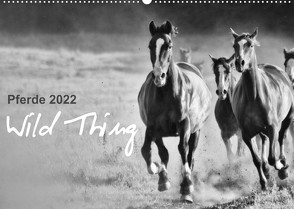 Pferde 2022 Wild Thing (Wandkalender 2022 DIN A2 quer) von Peters,  Sabine