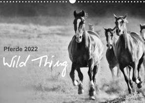 Pferde 2022 Wild Thing (Wandkalender 2022 DIN A3 quer) von Peters,  Sabine