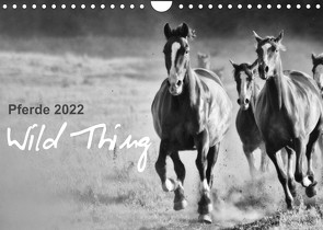 Pferde 2022 Wild Thing (Wandkalender 2022 DIN A4 quer) von Peters,  Sabine