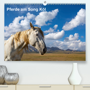 Pferde am Song Köl (Premium, hochwertiger DIN A2 Wandkalender 2020, Kunstdruck in Hochglanz) von Rusch,  Winfried