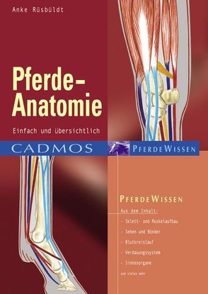 Pferde-Anatomie von Rüsbüldt,  Anke