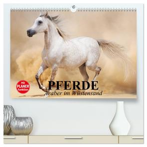 Pferde. Araber im Wüstensand (hochwertiger Premium Wandkalender 2024 DIN A2 quer), Kunstdruck in Hochglanz von Stanzer,  Elisabeth