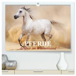 Pferde • Araber im Wüstensand (hochwertiger Premium Wandkalender 2024 DIN A2 quer), Kunstdruck in Hochglanz von Stanzer,  Elisabeth