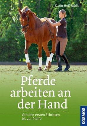 Pferde arbeiten an der Hand von Heß-Müller,  Karin