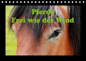 Pferde Frei wie der Wind (Tischkalender 2018 DIN A5 quer) von Wolf,  Jan