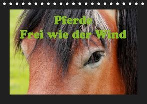 Pferde Frei wie der Wind (Tischkalender 2019 DIN A5 quer) von Wolf,  Jan