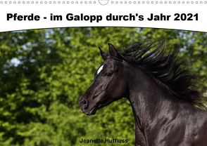 Pferde – im Galopp durch’s Jahr 2021 (Wandkalender 2021 DIN A3 quer) von Hutfluss,  Jeanette