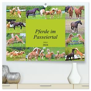 Pferde im Passeiertal (hochwertiger Premium Wandkalender 2024 DIN A2 quer), Kunstdruck in Hochglanz von Pixner,  Markus