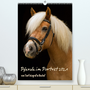 Pferde im Portait (Premium, hochwertiger DIN A2 Wandkalender 2021, Kunstdruck in Hochglanz) von Bischof,  Melanie, Bischof,  Tierfotografie