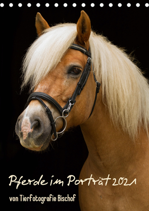 Pferde im Portait (Tischkalender 2021 DIN A5 hoch) von Bischof,  Melanie, Bischof,  Tierfotografie