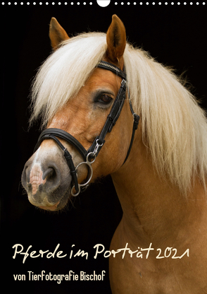 Pferde im Portait (Wandkalender 2021 DIN A3 hoch) von Bischof,  Melanie, Bischof,  Tierfotografie