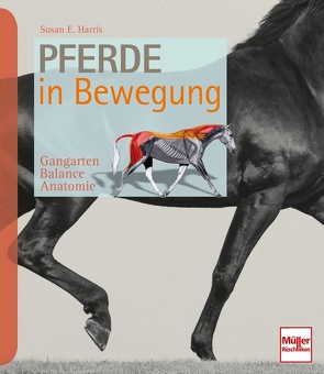 Pferde in Bewegung von Harris,  Susan E.