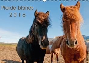 Pferde Islands (Wandkalender 2018 DIN A2 quer) von Gilbert,  Philipp