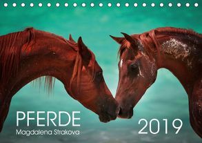 Pferde – Magdalena Strakova (Tischkalender 2019 DIN A5 quer) von Strakova,  Magdalena