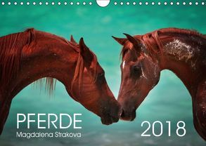 Pferde – Magdalena Strakova (Wandkalender 2018 DIN A4 quer) von Strakova,  Magdalena