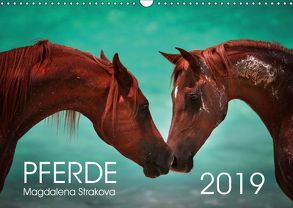 Pferde – Magdalena Strakova (Wandkalender 2019 DIN A3 quer) von Strakova,  Magdalena