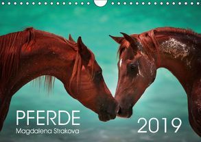 Pferde – Magdalena Strakova (Wandkalender 2019 DIN A4 quer) von Strakova,  Magdalena