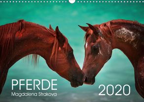 Pferde – Magdalena Strakova (Wandkalender 2020 DIN A3 quer) von Strakova,  Magdalena