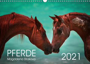 Pferde – Magdalena Strakova (Wandkalender 2021 DIN A3 quer) von Strakova,  Magdalena