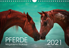 Pferde – Magdalena Strakova (Wandkalender 2021 DIN A4 quer) von Strakova,  Magdalena