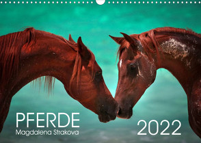 Pferde – Magdalena Strakova (Wandkalender 2022 DIN A3 quer) von Strakova,  Magdalena