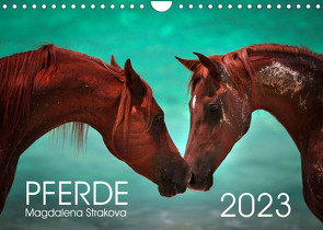 Pferde – Magdalena Strakova (Wandkalender 2023 DIN A4 quer) von Strakova,  Magdalena