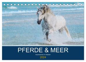 PFERDE & MEER (Tischkalender 2024 DIN A5 quer), CALVENDO Monatskalender von Eckerl Tierfotografie,  Petra