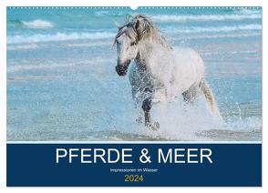 PFERDE & MEER (Wandkalender 2024 DIN A2 quer), CALVENDO Monatskalender von Eckerl Tierfotografie,  Petra