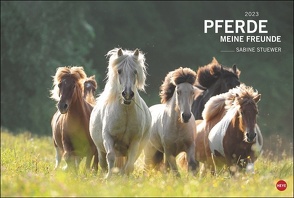 Pferde Meine Freunde Kalender 2023. Ein großer Wandkalender mit spektakulären Pferdefotos von Sabine Stuewer. Das Großformat bringt die edlen Tiere bestens zur Geltung. von Heye, Stuewer,  Sabine