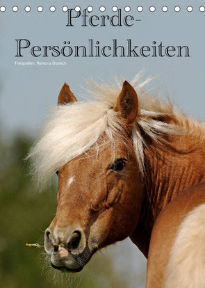 Pferde-Persönlichkeiten – ausdrucksstarke Gesichter verschiedener Pferderassen (Tischkalender 2022 DIN A5 hoch) von Dünisch - www.Ramona-Duenisch.de,  Ramona