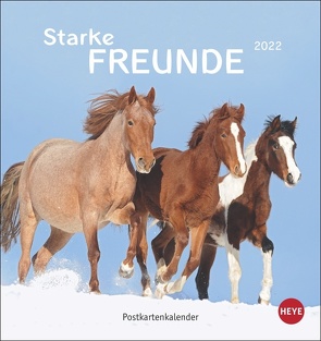 Pferde Postkartenkalender 2022 von Heye, Stuewer,  Sabine