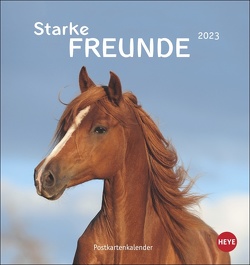 Pferde – Starke Freunde Postkartenkalender 2023. Pferdefotografin Sabine Stuewer setzt die edlen Tiere in einem kleinen Kalender perfekt in Szene. Hochwertiger Postkarten-Fotokalender. von Heye, Stuewer,  Sabine