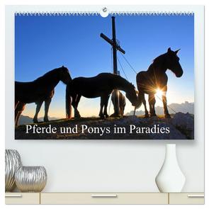 Pferde und Ponys im Paradies (hochwertiger Premium Wandkalender 2024 DIN A2 quer), Kunstdruck in Hochglanz von Kramer,  Christa