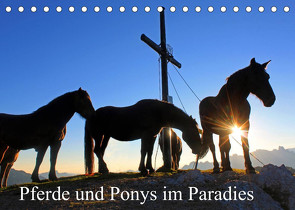 Pferde und Ponys im Paradies (Tischkalender 2022 DIN A5 quer) von Kramer,  Christa