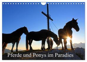 Pferde und Ponys im Paradies (Wandkalender 2024 DIN A4 quer), CALVENDO Monatskalender von Kramer,  Christa