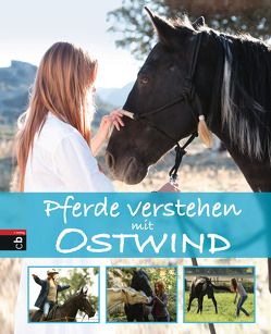 Pferde verstehen mit Ostwind von Schmidt,  Almut