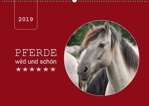 Pferde wild und schön (Wandkalender 2019 DIN A2 quer) von Keller,  Angelika