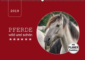 Pferde wild und schön (Wandkalender 2019 DIN A2 quer) von Keller,  Angelika