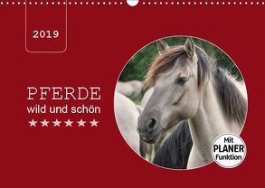 Pferde wild und schön (Wandkalender 2019 DIN A3 quer) von Keller,  Angelika