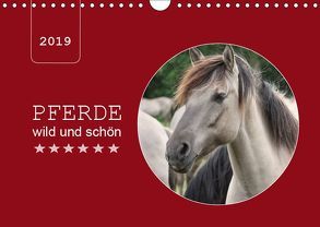 Pferde wild und schön (Wandkalender 2019 DIN A4 quer) von Keller,  Angelika