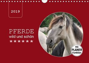 Pferde wild und schön (Wandkalender 2019 DIN A4 quer) von Keller,  Angelika