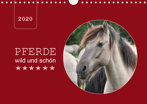 Pferde wild und schön (Wandkalender 2020 DIN A4 quer) von Keller,  Angelika