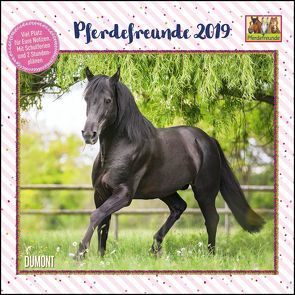 Pferdefreunde 2019 – Broschürenkalender – Kinder-Kalender – Format 30 x 30 cm von DUMONT Kalenderverlag, Roß,  Thea