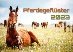 Pferdegeflüster – Der Pferdekalender – 2023 – Kalender DIN A2 von GP-Fever.de