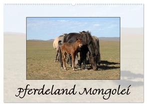 Pferdeland Mongolei (Wandkalender 2024 DIN A2 quer), CALVENDO Monatskalender von Beuck,  AJ