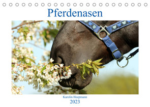 Pferdenasen (Tischkalender 2023 DIN A5 quer) von Heepmann - www.Karo-Fotos.de,  Karolin