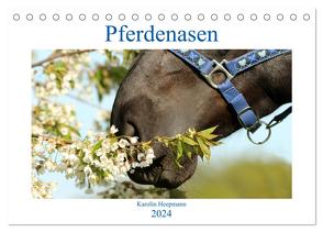 Pferdenasen (Tischkalender 2024 DIN A5 quer), CALVENDO Monatskalender von Heepmann - www.Karo-Fotos.de,  Karolin