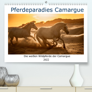 Pferdeparadies Camargue (Premium, hochwertiger DIN A2 Wandkalender 2022, Kunstdruck in Hochglanz) von Kassat,  Nicola