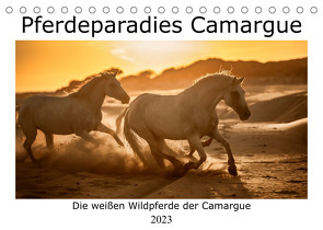 Pferdeparadies Camargue (Tischkalender 2023 DIN A5 quer) von Kassat,  Nicola